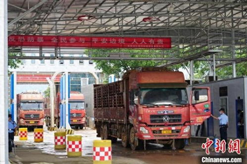 中緬邊境章鳳口岸2024年進(jìn)出口貨物量突破52萬噸，國內(nèi)貿(mào)易代理作用顯著