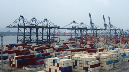 開門穩！外貿大省浙江發力，東盟躍升為第二大貿易市場